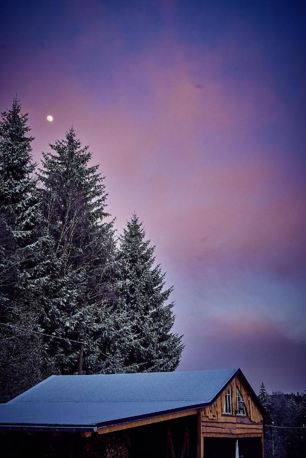 Vila Blickinsfreie - Cabin Schöneck Exteriér fotografie