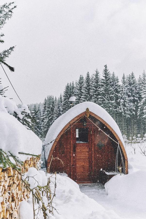 Vila Blickinsfreie - Cabin Schöneck Exteriér fotografie